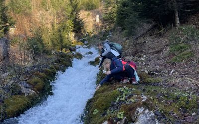 1. dan naravoslovnega tabora na Javorniškem Rovtu (2. skupina)